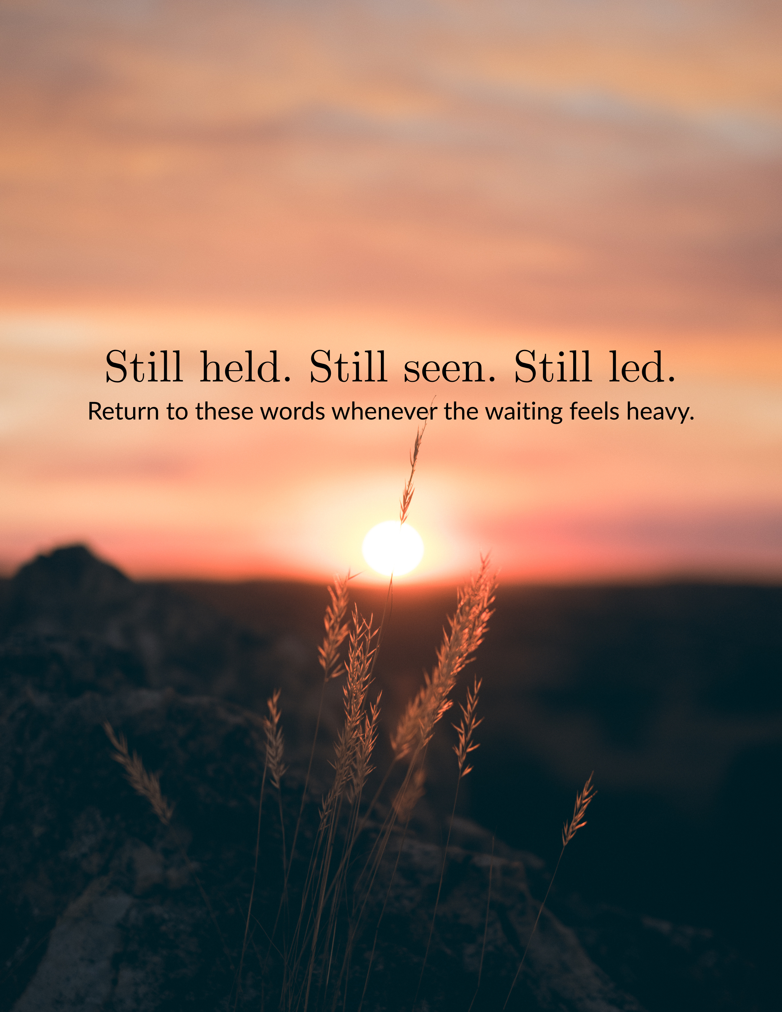 Still Held